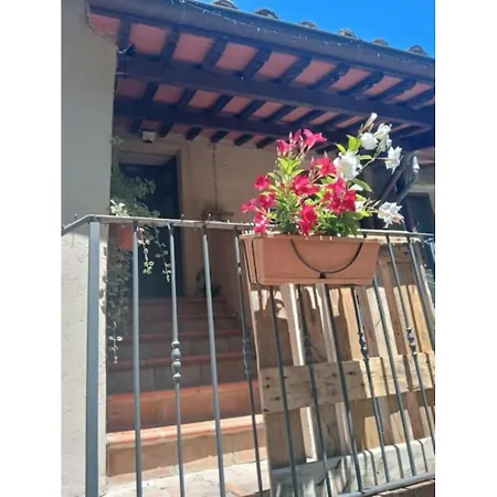 Caratteristico Su Borgo 